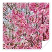 ヒメ日記 2026/03/29 21:18 投稿 Mashiro【ましろ】 Club Lumine(中津)