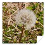 ヒメ日記 2026/03/30 01:36 投稿 Mashiro【ましろ】 Club Lumine(中津)