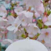 ヒメ日記 2026/03/31 17:54 投稿 Mashiro【ましろ】 Club Lumine(中津)