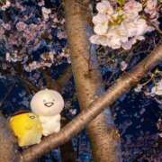 ヒメ日記 2026/04/03 23:34 投稿 Mashiro【ましろ】 Club Lumine(中津)