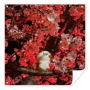 ヒメ日記 2026/04/04 19:11 投稿 Mashiro【ましろ】 Club Lumine(中津)