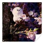 ヒメ日記 2026/04/05 01:40 投稿 Mashiro【ましろ】 Club Lumine(中津)