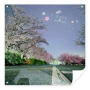 ヒメ日記 2026/04/05 07:55 投稿 Mashiro【ましろ】 Club Lumine(中津)