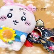 ヒメ日記 2026/09/06 21:32 投稿 Mashiro【ましろ】 Club Lumine(中津)