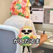 ヒメ日記 2026/10/02 12:28 投稿 Mashiro【ましろ】 Club Lumine(中津)