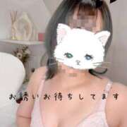 リコ【FG系列】 本日出勤中?? オトナdeフィーリングin八王子(FG系列)