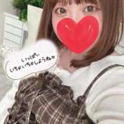 ヒメ日記 2025/12/12 11:54 投稿 桃（も　も） ビッグバード