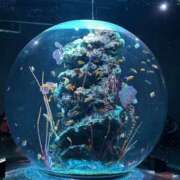 ヒメ日記 2026/03/05 15:41 投稿 ゆめ スピード難波店