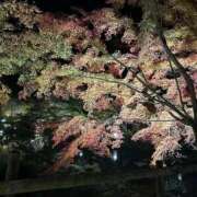 ヒメ日記 2025/11/16 19:19 投稿 みき 多治見・土岐・春日井ちゃんこ