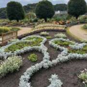 ヒメ日記 2025/11/18 13:19 投稿 みき 多治見・土岐・春日井ちゃんこ