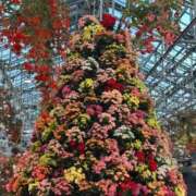 ヒメ日記 2026/01/29 22:49 投稿 みき 多治見・土岐・春日井ちゃんこ