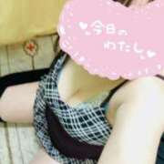 ヒメ日記 2026/04/13 09:09 投稿 みき 多治見・土岐・春日井ちゃんこ