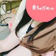 ヒメ日記 2026/07/22 20:09 投稿 みき 多治見・土岐・春日井ちゃんこ