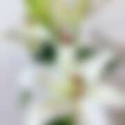 ヒメ日記 2025/10/14 23:23 投稿 こよみ 川崎三浦屋