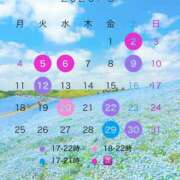ヒメ日記 2026/05/12 07:40 投稿 こよみ 川崎三浦屋