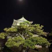 藤森 奏 お疲れ様でした 五十路マダム 愛されたい熟女たち 高松店