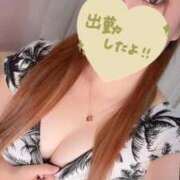 ヒメ日記 2025/10/07 19:20 投稿 しほ SPIN(スピン)