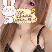 ヒメ日記 2025/10/23 14:02 投稿 しほ SPIN(スピン)