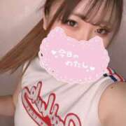 ヒメ日記 2026/02/11 14:45 投稿 しほ SPIN(スピン)