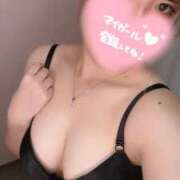 ヒメ日記 2026/02/26 15:50 投稿 しほ SPIN(スピン)