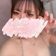 ヒメ日記 2026/02/28 08:59 投稿 しほ SPIN(スピン)