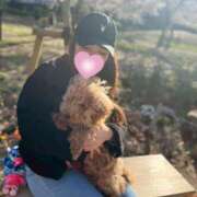 ヒメ日記 2026/04/02 23:27 投稿 しほ SPIN(スピン)