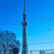 ヒメ日記 2025/12/22 21:36 投稿 矢吹 熟女の風俗最終章　鶯谷店