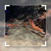 ヒメ日記 2025/10/12 22:44 投稿 南條いちか 池袋性感アロマ＆スイート ALLAMANDA -アラマンダ-