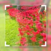 ヒメ日記 2025/10/13 16:23 投稿 南條いちか 池袋性感アロマ＆スイート ALLAMANDA -アラマンダ-