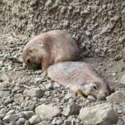 ヒメ日記 2025/10/25 09:33 投稿 南條いちか 池袋性感アロマ＆スイート ALLAMANDA -アラマンダ-