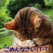 ヒメ日記 2025/10/19 11:55 投稿 まお 待ちナビ