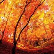 ヒメ日記 2025/10/27 14:45 投稿 まお 待ちナビ