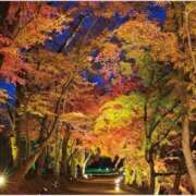 ヒメ日記 2025/10/30 14:18 投稿 まお 待ちナビ