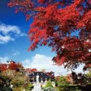 ヒメ日記 2025/11/02 20:25 投稿 まお 待ちナビ