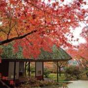 ヒメ日記 2025/11/06 18:03 投稿 まお 待ちナビ