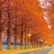 ヒメ日記 2025/11/12 19:35 投稿 まお 待ちナビ