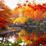 ヒメ日記 2025/11/23 21:05 投稿 まお 待ちナビ