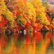 ヒメ日記 2025/11/28 18:06 投稿 まお 待ちナビ