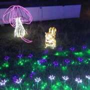 ヒメ日記 2025/12/30 14:05 投稿 まお 待ちナビ