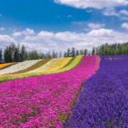 ヒメ日記 2026/03/11 13:54 投稿 まお 待ちナビ