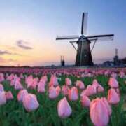 ヒメ日記 2026/03/14 14:48 投稿 まお 待ちナビ