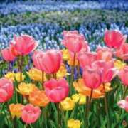 ヒメ日記 2026/04/04 17:36 投稿 まお 待ちナビ