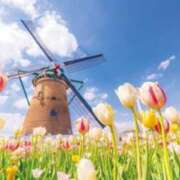 ヒメ日記 2026/04/24 14:16 投稿 まお 待ちナビ