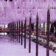 ヒメ日記 2026/05/10 19:43 投稿 まお 待ちナビ