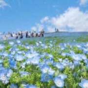 ヒメ日記 2026/05/17 17:43 投稿 まお 待ちナビ