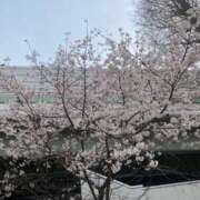 ヒメ日記 2026/03/29 14:55 投稿 いくみ ギン妻パラダイス 堺東店