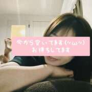 ヒメ日記 2025/12/14 14:32 投稿 江浦まつり ワイフコレクション