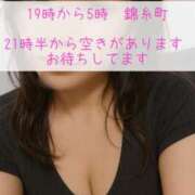 江浦まつり えっほ🐥えっほ🐣 ワイフコレクション