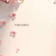 ヒメ日記 2026/03/30 19:44 投稿 江浦まつり ワイフコレクション