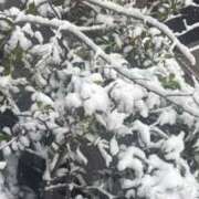 ヒメ日記 2026/02/08 09:25 投稿 白石ななこ 色気あるワイフ